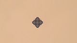 虫取り網クロスヘア crosshair