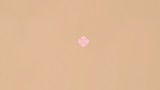 桜クロスヘア crosshair